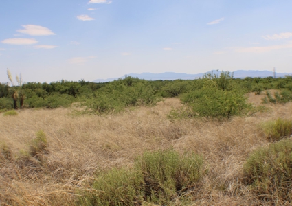 Spectacular property with WELL in St David, AZ. - image 13