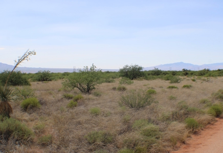 Spectacular property with WELL in St David, AZ. - image 7