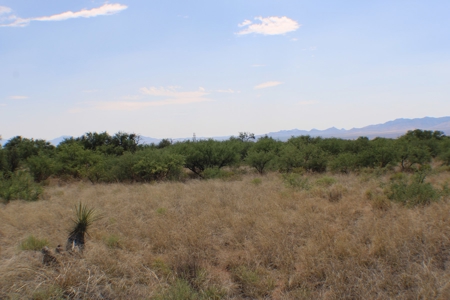 Spectacular property with WELL in St David, AZ. - image 8