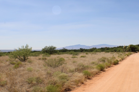 Spectacular property with WELL in St David, AZ. - image 4