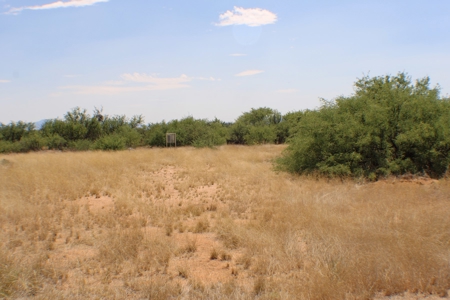 Spectacular property with WELL in St David, AZ. - image 3