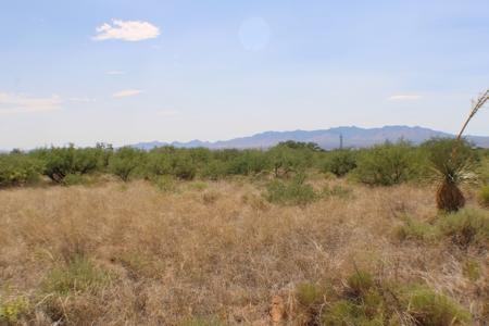 Spectacular property with WELL in St David, AZ. - image 1
