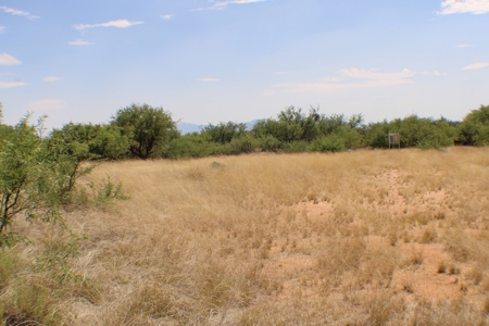 Spectacular property with WELL in St David, AZ. - image 2