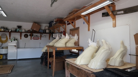 Established Taxidermy Shop - image 13