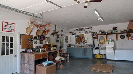 Established Taxidermy Shop - image 14