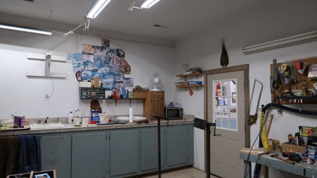 Established Taxidermy Shop - image 10