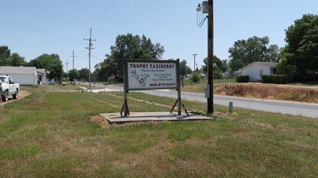 Established Taxidermy Shop - image 2