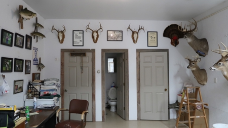Established Taxidermy Shop - image 11