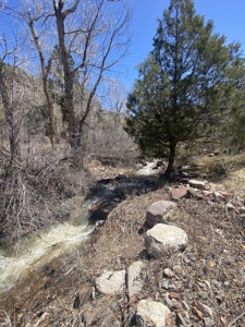Mountain Home For Sale, Ridgway, Colorado - image 6