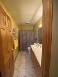 Mountain Home For Sale, Ridgway, Colorado - image 24