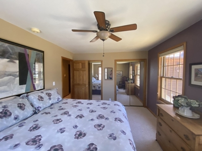 Mountain Home For Sale, Ridgway, Colorado - image 23