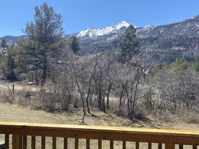 Mountain Home For Sale, Ridgway, Colorado - image 15