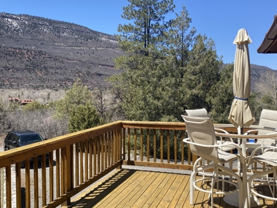 Mountain Home For Sale, Ridgway, Colorado - image 14