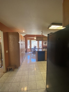 Mountain Home For Sale, Ridgway, Colorado - image 12