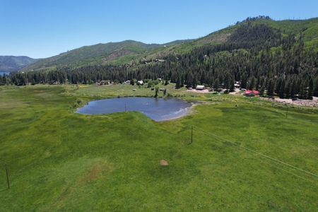Developable Land For Sale near Vallecito Reservoir, Bayfield - image 1