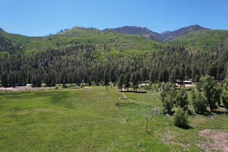 Developable Land For Sale near Vallecito Reservoir, Bayfield - image 13