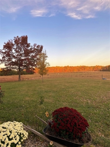 Brick Home With Acreage - Pond - Garage - Liberty, Ky. - image 17