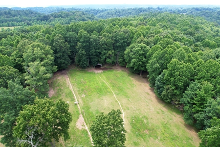 Brick Home With Acreage - Pond - Garage - Liberty, Ky. - image 7
