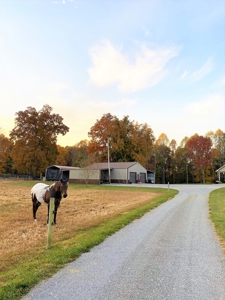 Brick Home With Acreage - Pond - Garage - Liberty, Ky. - image 18