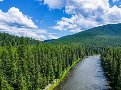 Here is your private getaway on the Yaak River! - image 50