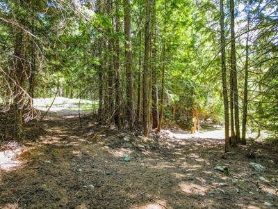 Here is your private getaway on the Yaak River! - image 25