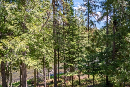 Here is your private getaway on the Yaak River! - image 22