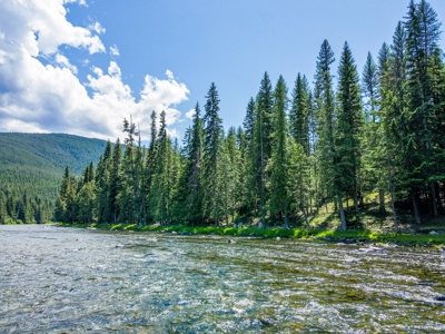 Here is your private getaway on the Yaak River! - image 45