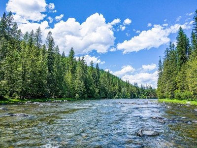 Here is your private getaway on the Yaak River! - image 48