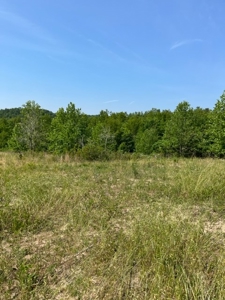 Land for Sale near Greenville MO - image 18