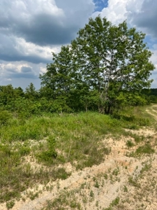 Land for Sale near Greenville MO - image 13