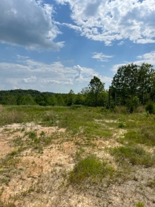 Land for Sale near Greenville MO - image 10