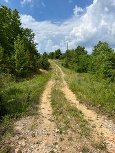 Land for Sale near Greenville MO - image 5