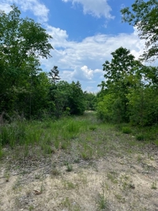 Land for Sale near Greenville MO - image 2