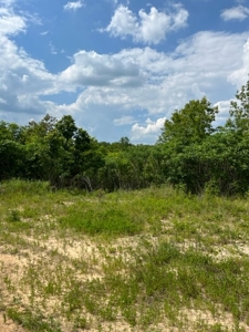 Land for Sale near Greenville MO - image 12