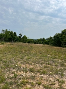 Land for Sale near Greenville MO - image 1
