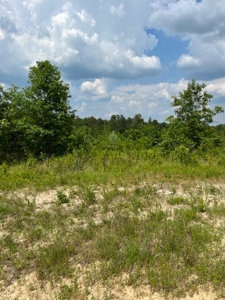 Land for Sale near Greenville MO - image 11