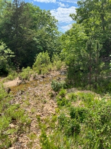 Land for Sale near Greenville MO - image 4