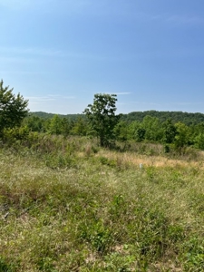 Land for Sale near Greenville MO - image 19