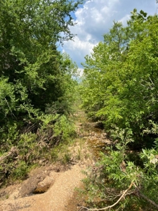 Land for Sale near Greenville MO - image 7