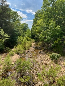 Land for Sale near Greenville MO - image 6