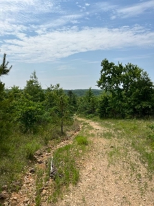 Land for Sale near Greenville MO - image 21