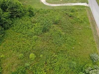 Auction - Commercial and Residential Lots in New Tazewell TN - image 4