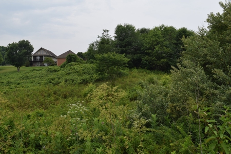 Auction - Commercial and Residential Lots in New Tazewell TN - image 21