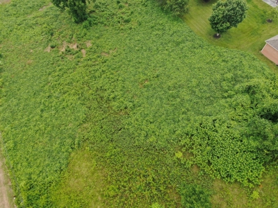 Auction - Commercial and Residential Lots in New Tazewell TN - image 7