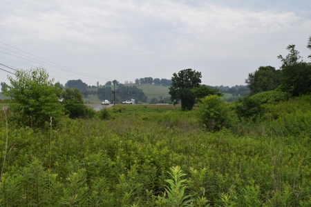 Auction - Commercial and Residential Lots in New Tazewell TN - image 18