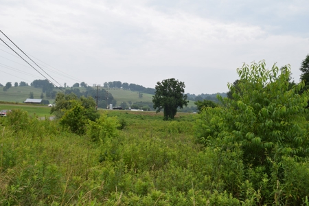 Auction - Commercial and Residential Lots in New Tazewell TN - image 17