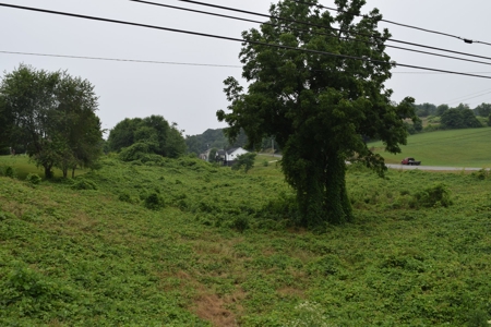 Auction - Commercial and Residential Lots in New Tazewell TN - image 26