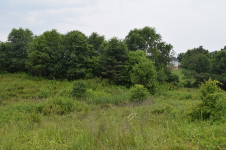 Auction - Commercial and Residential Lots in New Tazewell TN - image 20