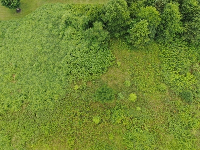 Auction - Commercial and Residential Lots in New Tazewell TN - image 6