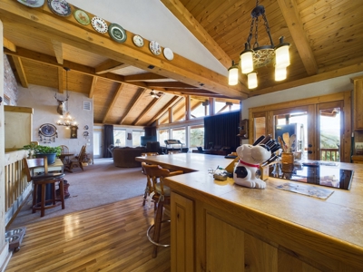 Home and Land for Sale in White Bird, Idaho - image 4